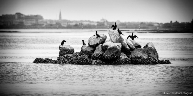 16 4744 1 Foto Franz Baldauf 1024x512