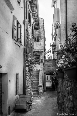 9 4044 Foto Franz Baldauf 683x1024