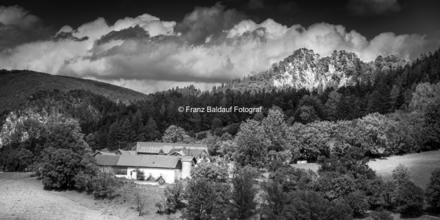 2200 1 150cm 75cm 17.08.2016 Meierhöfe Kaser Postl Fotoimpressionen aus der Gauermannheimat Miesenbach Scheuchenstein 2016 Copyright Foto Franz Baldauf