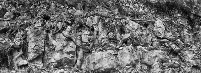 421000 2 Fotoimpressionen aus der Gauermannheimat Miesenbach Scheuchenstein