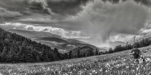 8420433 1 150x75 27.05.2016 Nußberg Dürre Wand Gewitter Wolfgang Fürlinger. Fotoimpressionen aus der Gauermannheimat Miesenbach Scheuchenstein 2016 Copyright Foto Franz Baldauf 1