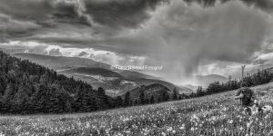 8420433 1 150x75 27.05.2016 Nußberg Dürre Wand Gewitter Wolfgang Fürlinger. Fotoimpressionen aus der Gauermannheimat Miesenbach Scheuchenstein 2016 Copyright Foto Franz Baldauf