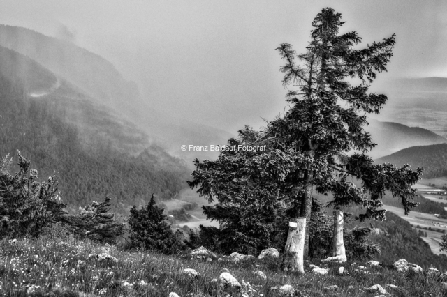 8420512 2 150x100 27.05.2016 Blick vom Gelände Richtung Hohe Wand Fotoimpressionen aus der Gauermannheimat Miesenbach Scheuchenstein 2016 Copyright Foto Franz Baldauf