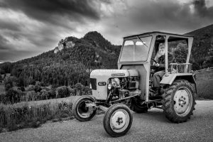 8420806 30.05.2016 75x50 Katharina Berger . Fotoimpressionen aus der Gauermannheimat Miesenbach Scheuchenstein 2016 Copyright Foto Franz Baldauf