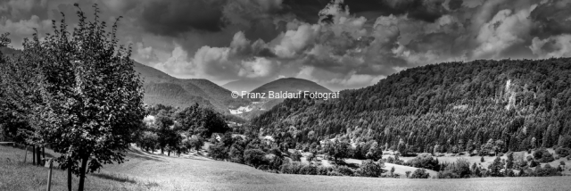 8423780 1 150x50 27.07.2016 Blick von Scheuchenstein Richtung Gauermannhof und Schneeberg Fotoimpressionen aus der Gauermannheimat Miesenbach Scheuchenstein 2016 Copyright Foto Franz Baldauf