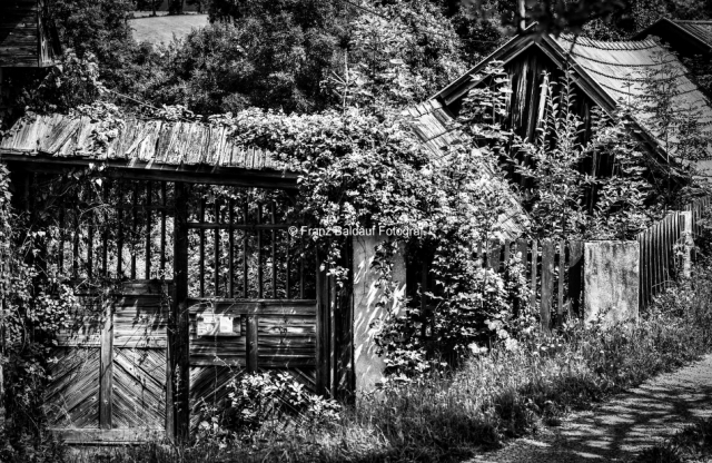8423829 27.07.2016 100x65 Beim Schönthaler auf der Höh Fotoimpressionen aus der Gauermannheimat Miesenbach Scheuchenstein 2016 Copyright Foto Franz Baldauf