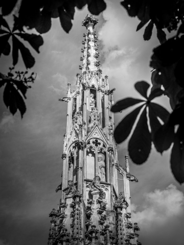 001255 21052014 1 Spinnerin am Kreuz Wiener Neustadt Foto Franz Baldauf 767x1024