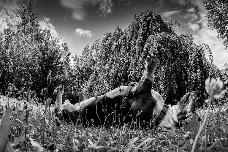 Entschleunigte Fotografie: Die Kunst des Innehaltens