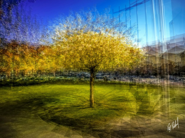 3162 19.04.2019 100cm X 75cm Blühender Baum Domplatz Wiener Neustadt 760 1024x768