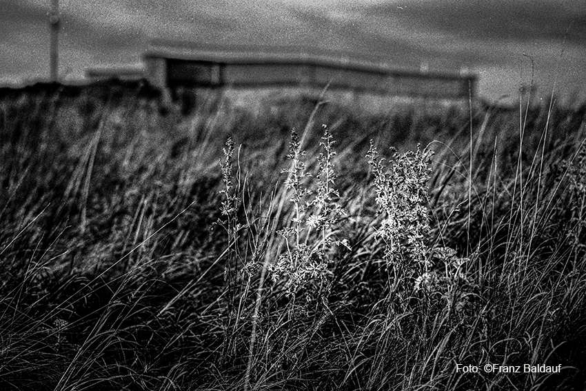 Entschleunigte Analogfotografie mit 25 Jahre alter Zenza Bronica GS1 Mittelformat Kamera auf Ilford Schwarzweiss Film, selbst entwickelt und eingescannt